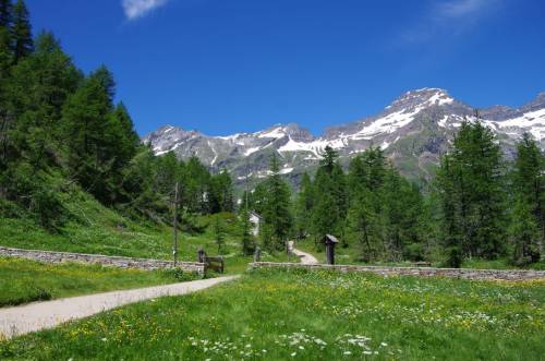 Alpe Veglia - Ossola  (VB)