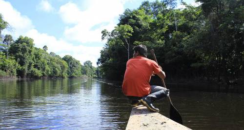 La Foresta Amazzonica, Brasile