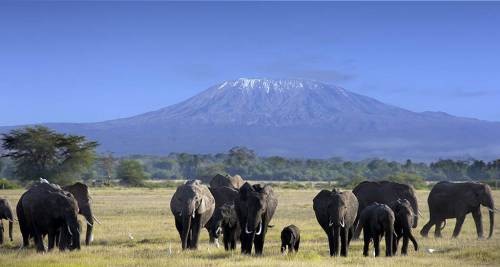 Il Kilimanjaro, Tanzania