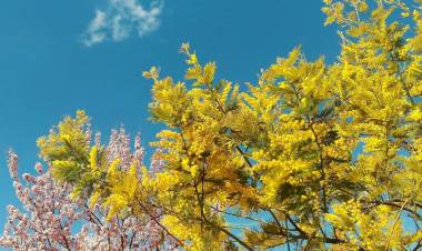 METEO: Weekend per lo più soleggiato, ancora instabile al Nord-Ovest