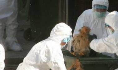 È allarme pandemia: dalla Cina l’influenza che può uccidere ovunque