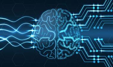 Vuoi sapere quando morirai? Te lo dice Google