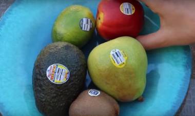 Cosa significano davvero i piccoli adesivi sulla frutta?