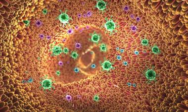 Tumore incurabile annientato con il caldo. Il caso dell'anziano guarito in 24 ore