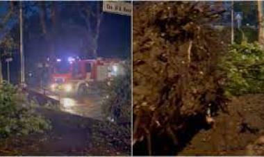 Tetti scoperchiati e pali abbattuti, notte da incubo nel Saronnese