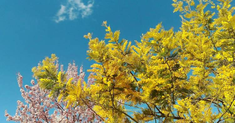 METEO: Weekend per lo più soleggiato, ancora instabile al Nord-Ovest